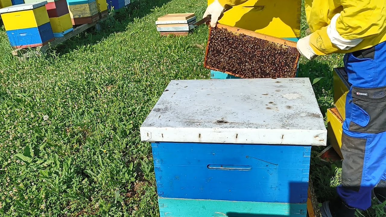 Najgore mi je u životu kad lažem sam sebe