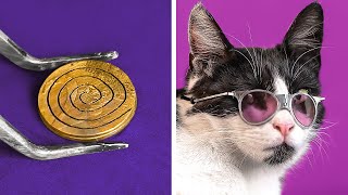 I MADE SUNGLASSES FOR MY CAT Cool DIY Accessories And Craft Ideas