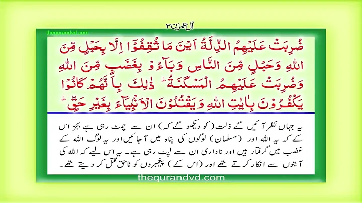 Para 4 - Juz 4 Lan Tana Lu HD Quran Urdu Hindi Translation