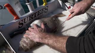 Fish & Tip with Scott & Mig: How to fillet a John Dory