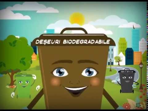 Animatie pubela  Deseuri biodegradabile