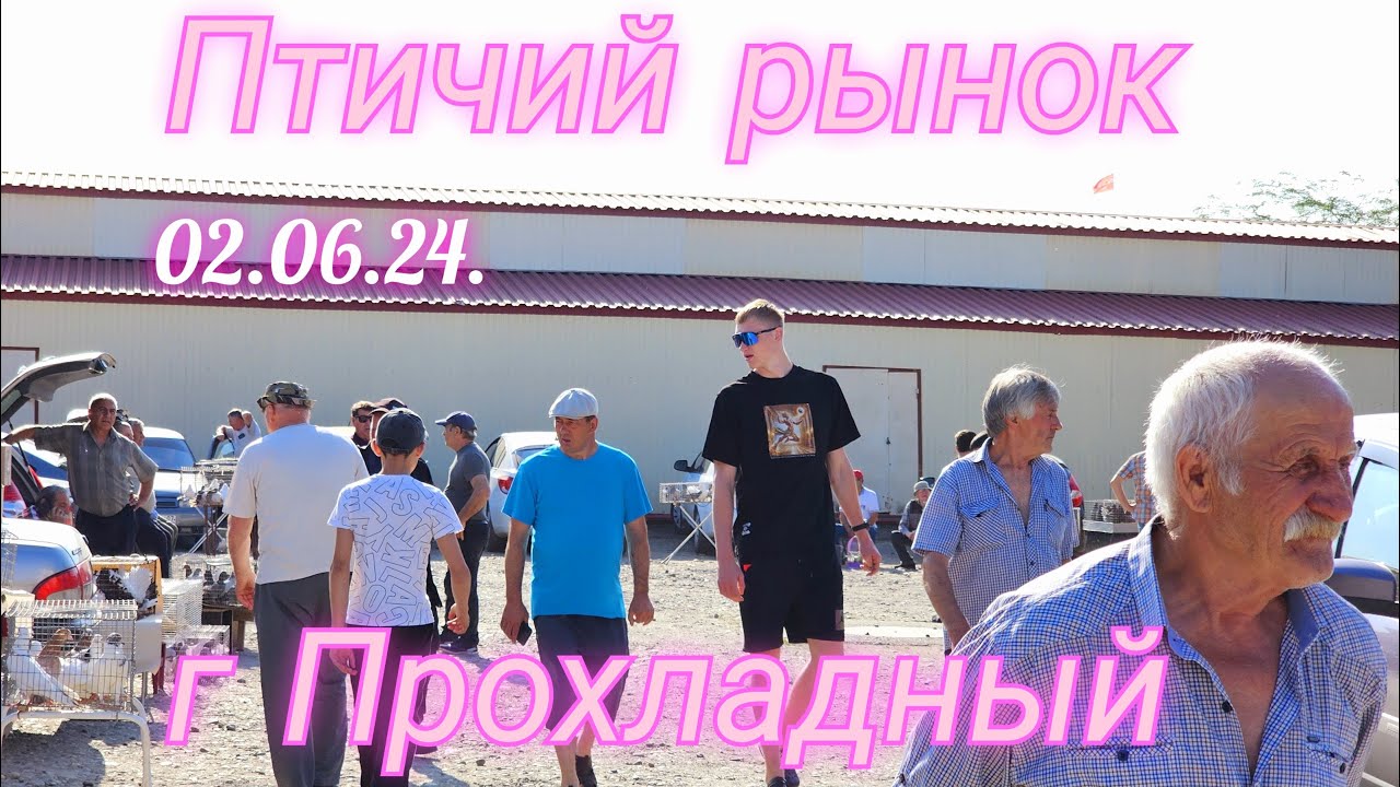 Голуби цены Птичий рынок г Прохладный