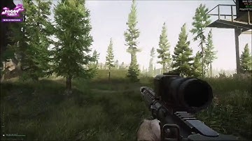 Escape from Tarkov - ADS change magnification issues