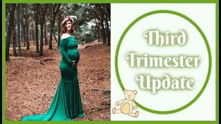 THIRD TRIMESTER UPDATE / PREGNANCY FAVOURITES  | Just Add Ginger