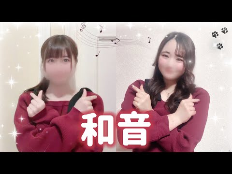 【莉犬くんお誕生日カウントダウン】和音🎶