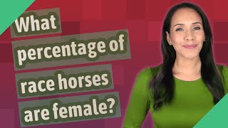 What percentage of race horses are female?