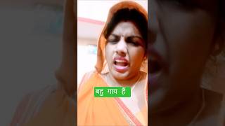 बहु गाय #comedy #funny #funnycomedy है