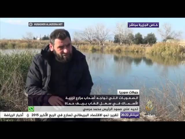 الصعوبات التي تواجه أصحاب مزارع تربية الأسماك في سهل الغاب بريف حماة