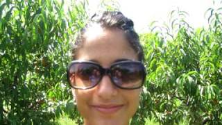 MVI_0853.AVI