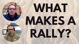 How to define a rally in the commodity markets (and what to do about it)
