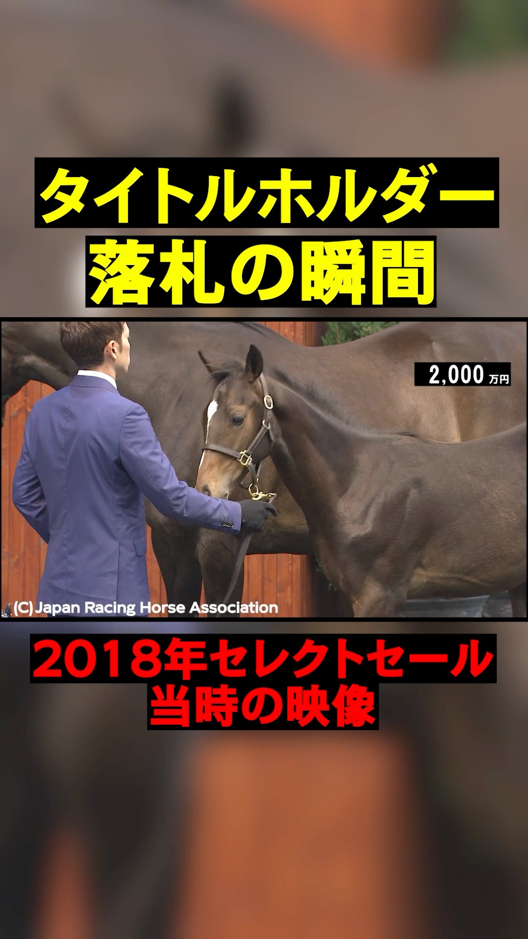 The moment a front-running stayer and titleholder was auctioned