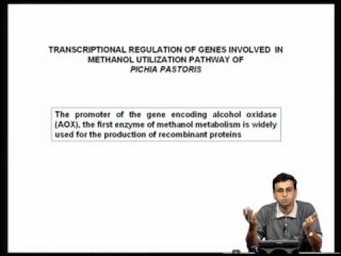 Mod-02 Lec-05 Transcription factors : DNA binding domains