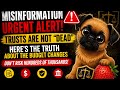MISINFORMATION ALERT: Trusts Are NOT Dead | The Truth About The Budget Changes