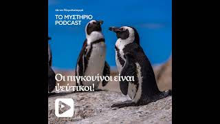 Οι πιγκουίνοι είναι ψεύτικοι!