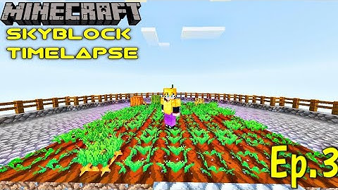 Minecraft SkyBlock Timelapse | Ep.3