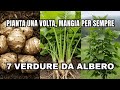 Queste 7 Verdure Crescono Come ALBERI Pianta Una Volta Mangia Per Sempre