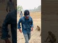 Jumping monkey short 🥰😁 #reels #funny #comedy #youtubeshorts