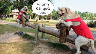 Củ Cải Kim Chi lần đầu chơi bập bênh, đại náo Ecopark