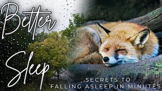 Secrets to Falling Asleep in Minutes | Episode 004