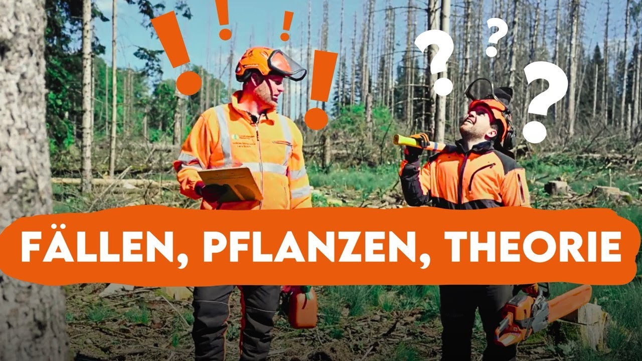 FORSTWIRTSPRÜFUNG: Wir versuchen sie zu bestehen! - Forst erklärt