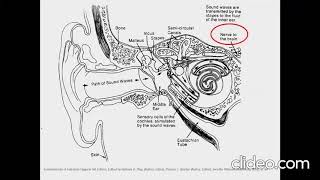 Assessment of occupational noise and vibration