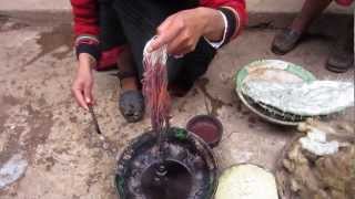 Cochinea Red Dye - The Use of Cochineal Beetles as Natural Fabric Dye in Chinchero, Peru.