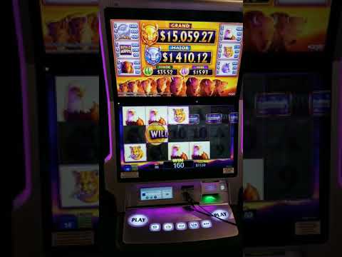Which slots win the most Which slots win the most