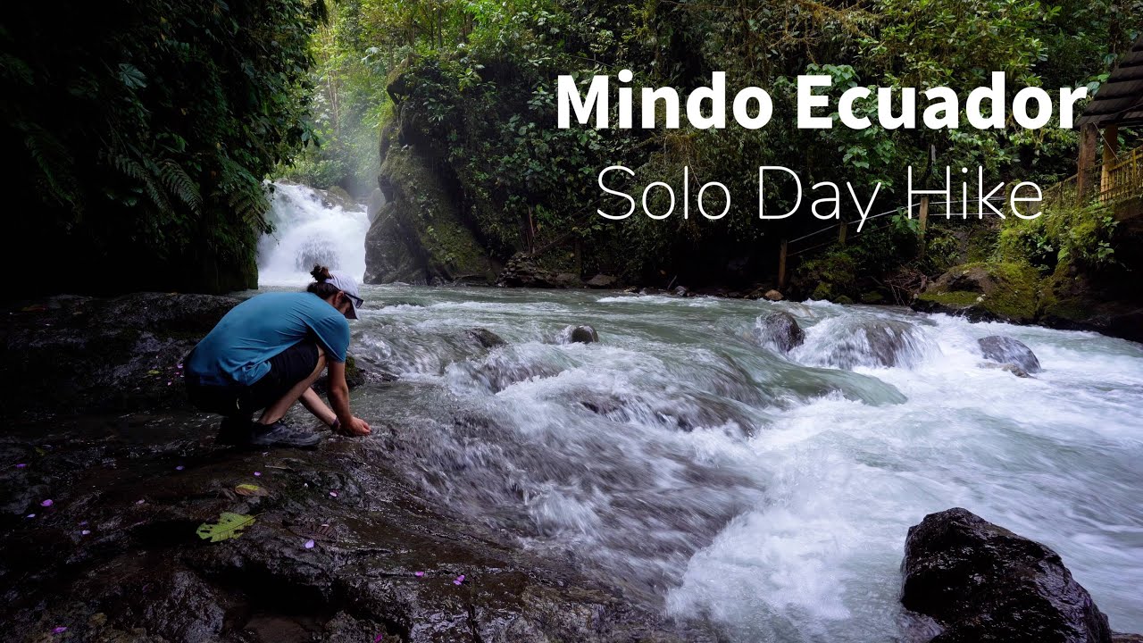 Solo Hiking the Ecuadorian Cloud forest