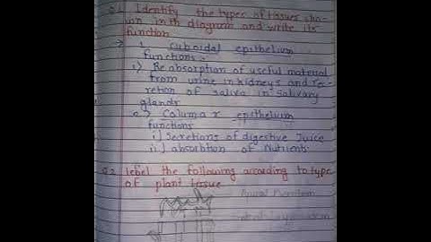 Setu bridge course std 10th science activity sheet =13  (part=2) answers with beautiful handwriting