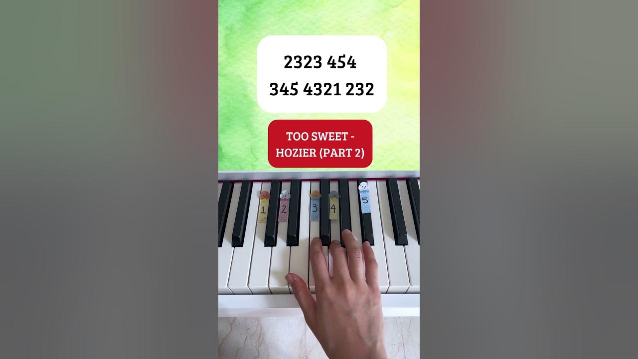 Too Sweet - Hozier (Part 2) (Piano Tutorial) #pianotutorial #pianobeginner #pianotutorial