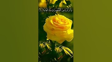 سورة النبأ بصوت القارئ أجزوني ابراهيم #القرآن