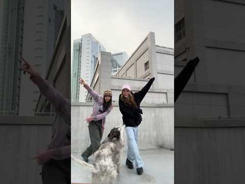 Our baby got excited!!!!🐺🩷🫨#XG #CHISA #HARVEY #MAXY #XGALX