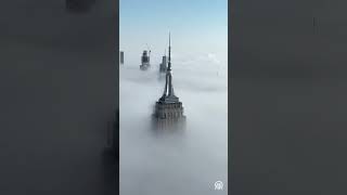 New York Fog #shorts #short #shortvideo