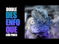 DOBLE DESENFOQUE CON PINES | DEGRADE EXTRA | PHOTOSHOP | TUTORIAL | ESPAÑOL