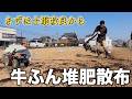 【土づくり】牛ふん堆肥でフカフカな土壌へ!