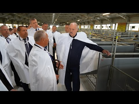 Лукашенко: Ты мне лекцию не читай! Ты мне ответишь за эти области!