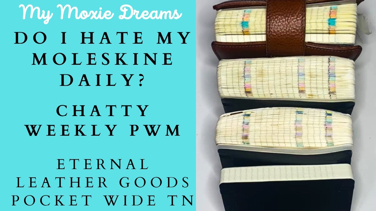 Do I Hate My Moleskine Daily? | Swarm of Wasps | Chatty PWM | Pocket Moleskine Daily