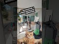 👉 Desmontando a unidade interna para higienização #arcondicionado viral