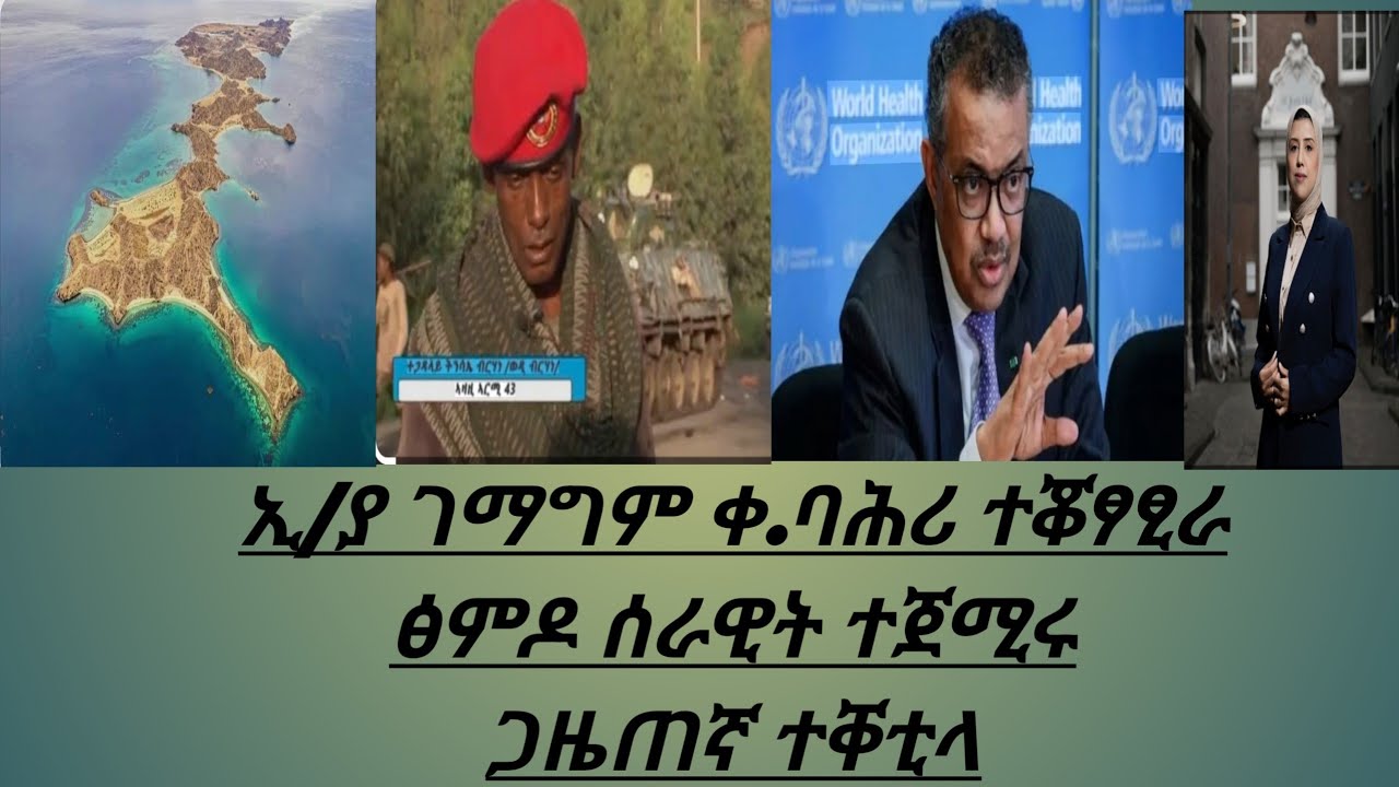 ኢ/ያ ገማግም ቀ.ባሕሪ ተቖፃፂራ፥ጋዜጠኛ ተቐቲላ፥ፅምዶ ሰራዊት ተጀሚሩ