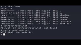TryHackMe Simple CTF Walkthrough - Pentesting Day 4.#simple ctf #cms made simple #cybersecurity