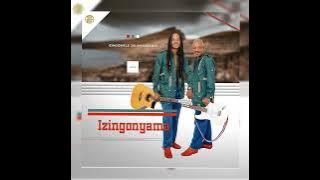 izingonyama