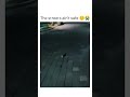 This kitty is dangerous 💀
