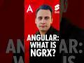 What Is NgRx? (Explained in 60 Seconds)