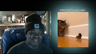 This Cat Behavior Shocked Scientists