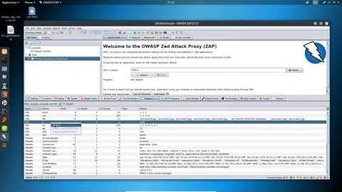 OWASP ZAP Demo finding vulnerability using ZAP