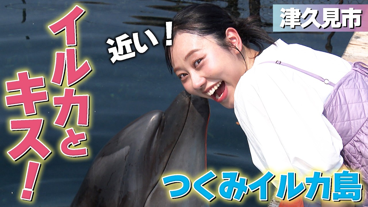 Kisses and Handshakes with Dolphins: For an Unforgettable