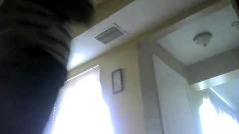 Dan gets pied by Jeremy bartlett