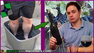 Making Wine from Petite Sirah Grapes | From Vine to Glass | Vintage 2021