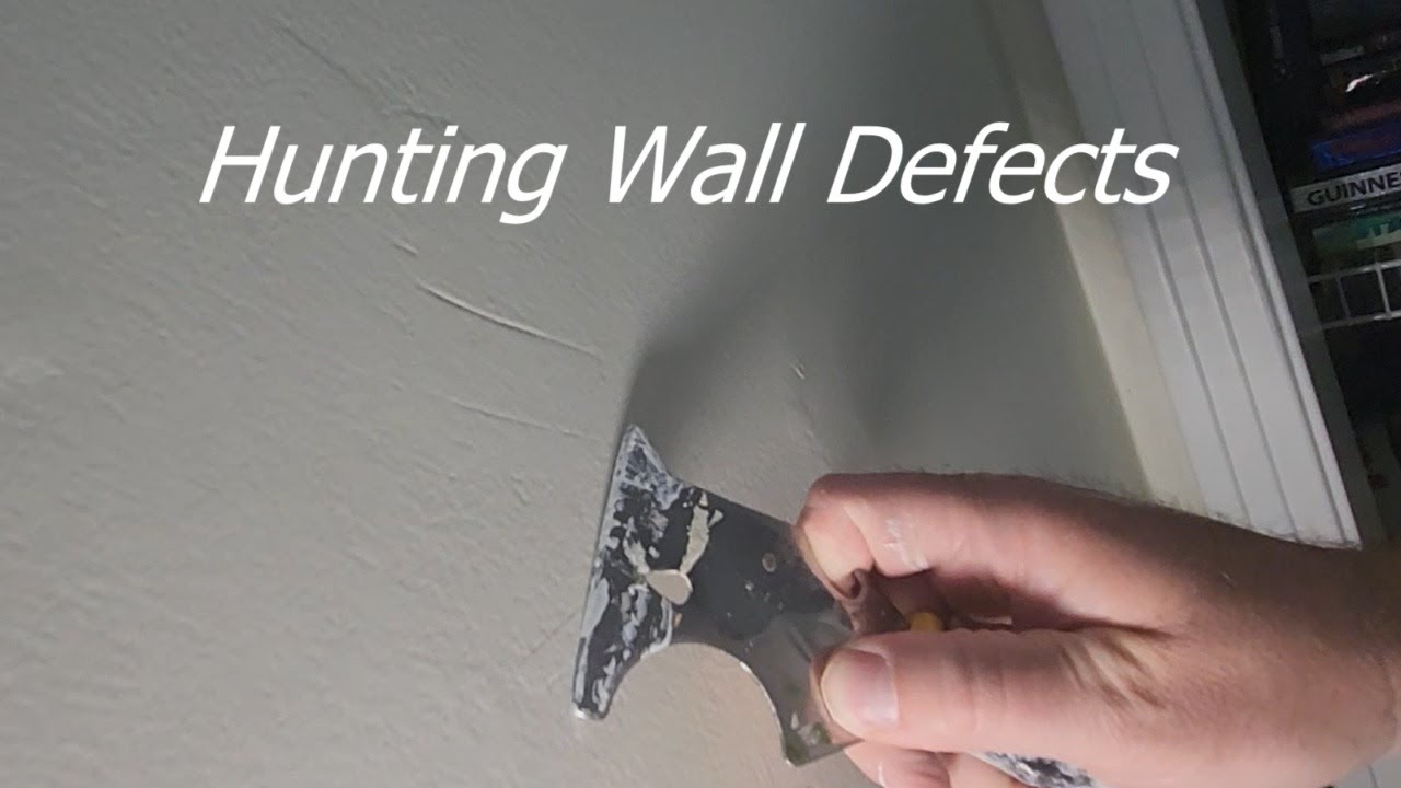 Scanning A Wall For Interior Painting Prep
