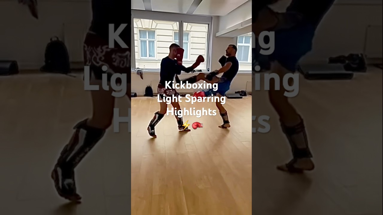 Kickboxen K1 Sparring Highlights | Stars Fitness Wien